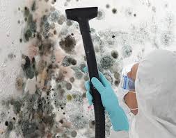 Why You Should Choose Our Mold Remediation Services in North Bend, NE